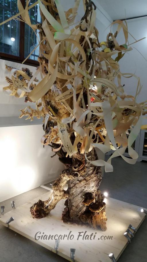 Io albero dei Margini