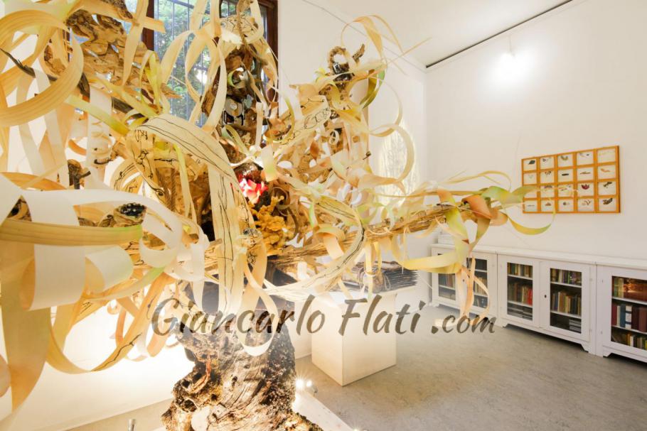 Io albero dei Margini
